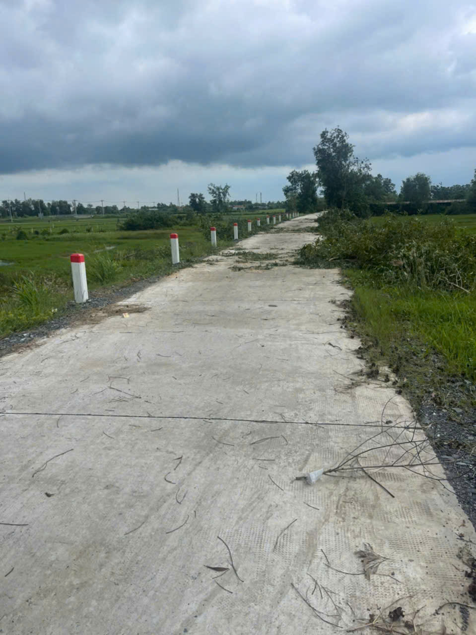 Nhà mặt tiền Long Hòa, xã Phước Vân, Cần Đước dt 1330m2 full thổ giá 13 tỷ
