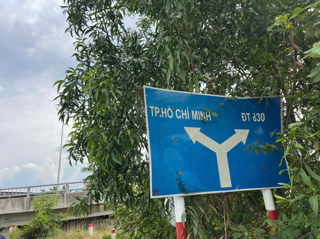 3100m2 đất lúa mt đường nhựa xã An Thạnh, Bến Lức giá 9,3 tỷ