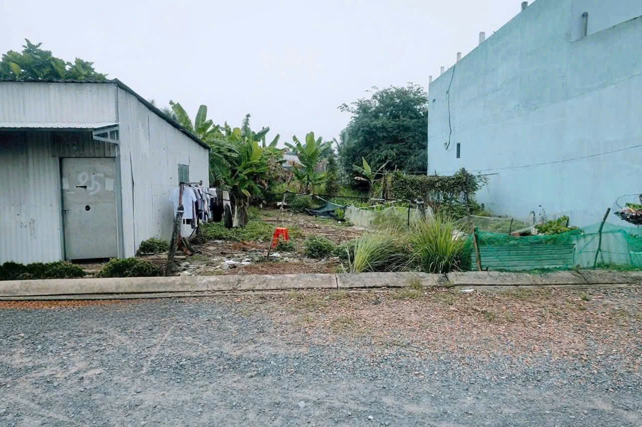 Bán 2 nền thổ cư liền kề xã Long Hiệp, Bến Lức dt 100m2 giá 1,35 tỷ / 1 nền