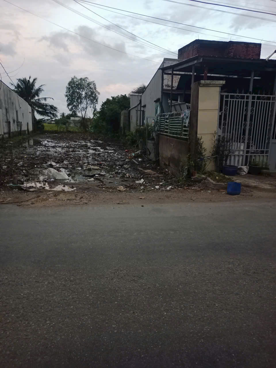 250m2 thổ cư mặt tiền đường huyện 19 xã Tân Trạch, Cần Đước, Long An giá 1,8 tỷ