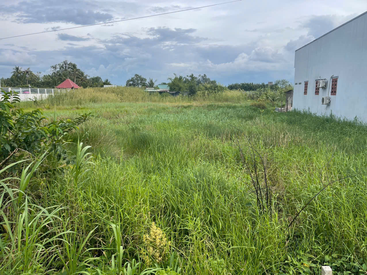 2100m2 đất lúa mặt tiền đường nhựa Rạch Tre xã An Thạnh, Bến Lức, Long An giá 13,7 tỷ