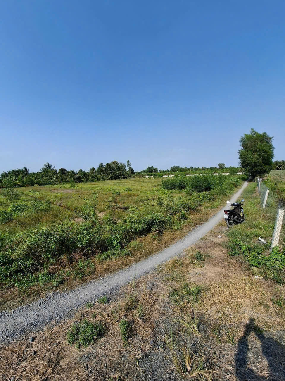 Bán đất xã Bình Đức , Bến Lức dt 1000m2 ( 300m2 thổ) thích hợp xây biệt thự , nhà vườn giá 1,8 tỷ