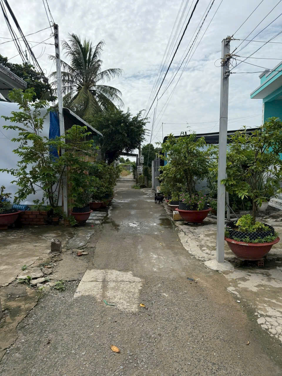 141m2 thổ cư hẻm trung tâm thị trấn Cần Giuộc giá 1,45 tỷ
