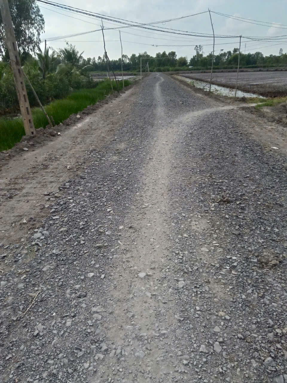 3500m2 đất vườn xã Hòa Khánh Tây, Đức Hòa giá 3,8 tỷ