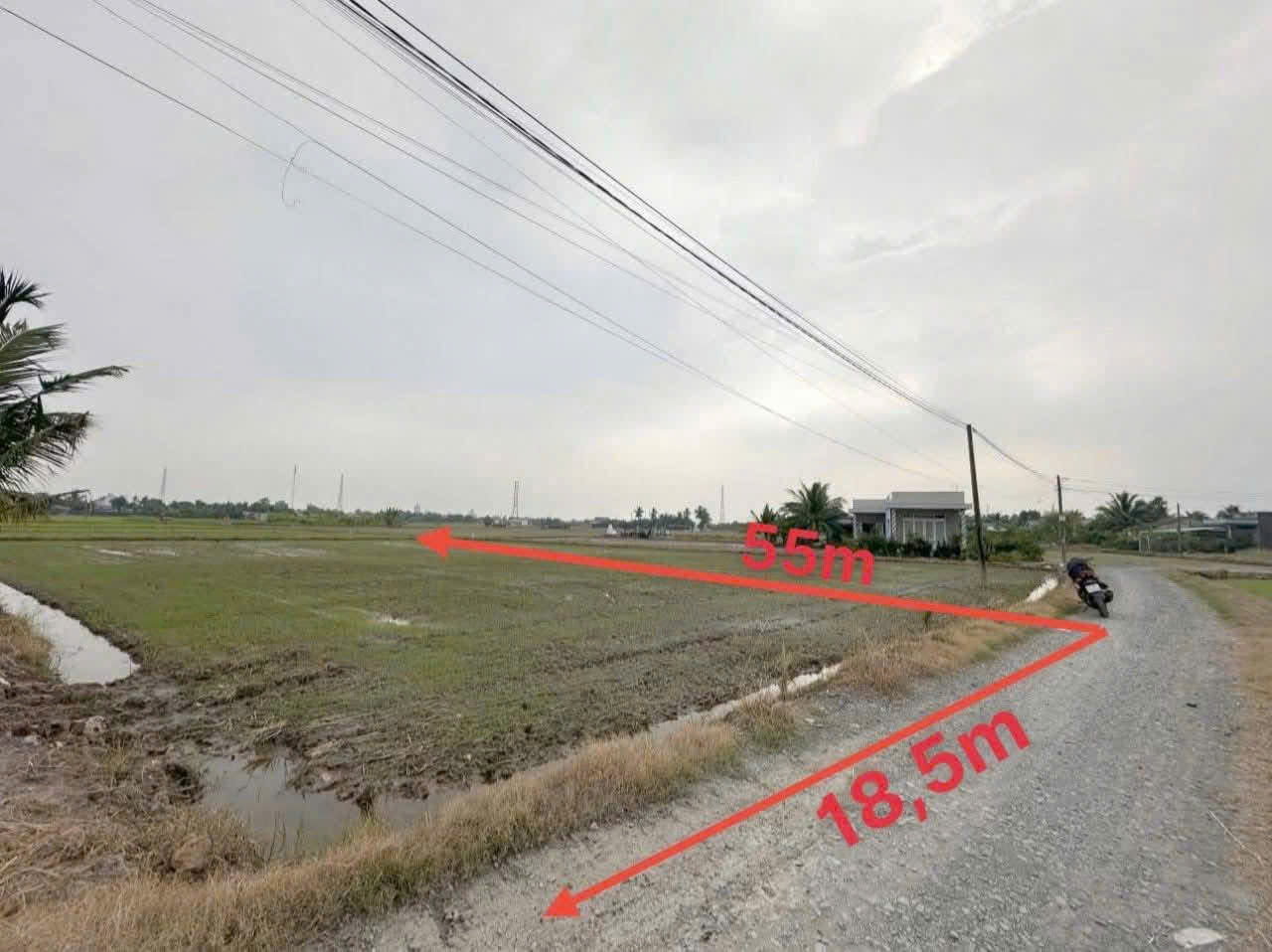 Bán đất lúa đường xe tải đá xanh ấp 7, Nhựt Chánh, Bến Lức dt 1000m2 giá 1,4 tỷ
