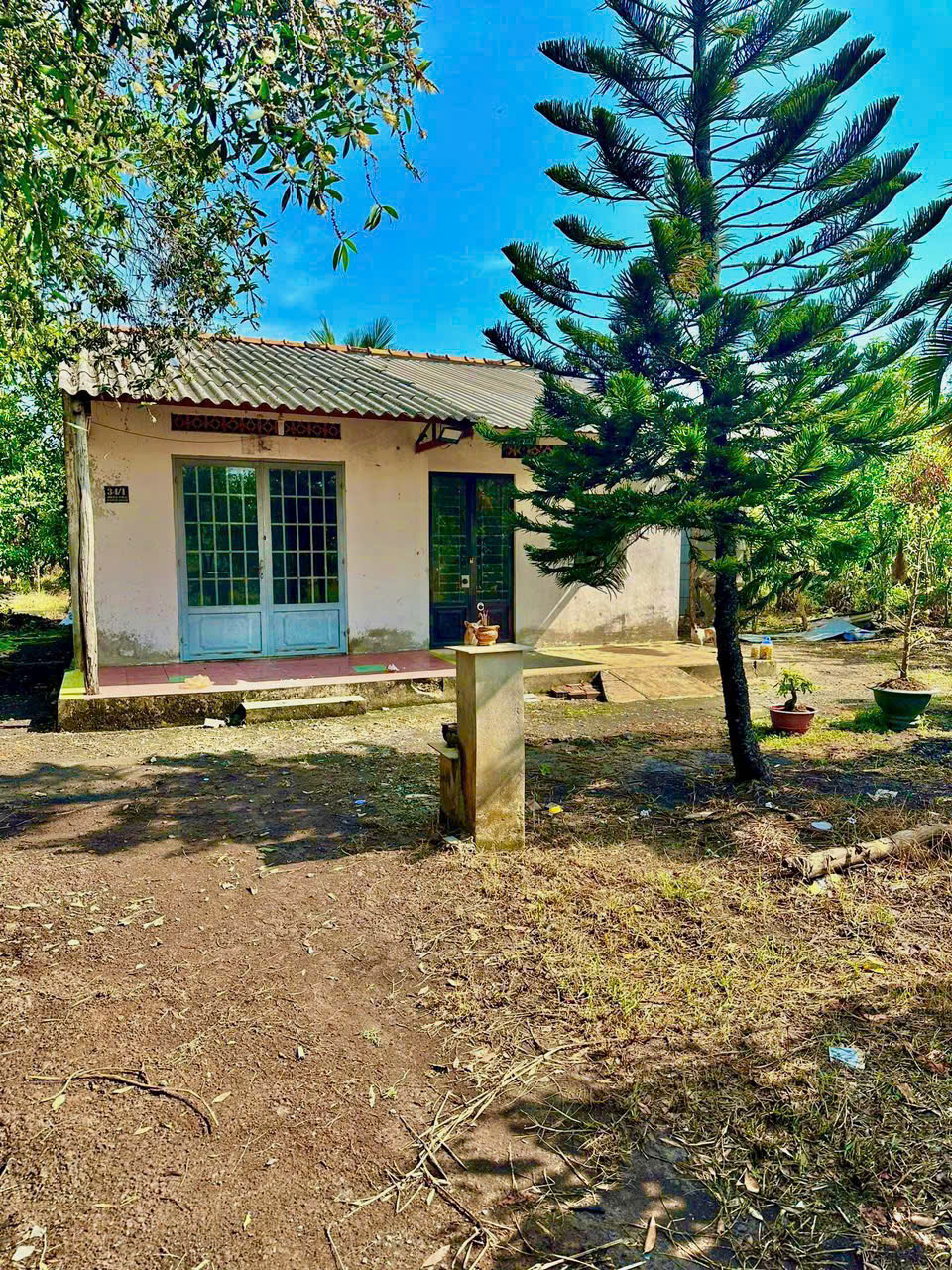 4467m2 đất vườn trái cây ở xã Phú Mỹ Hưng, Củ Chi giá 5,8 tỷ
