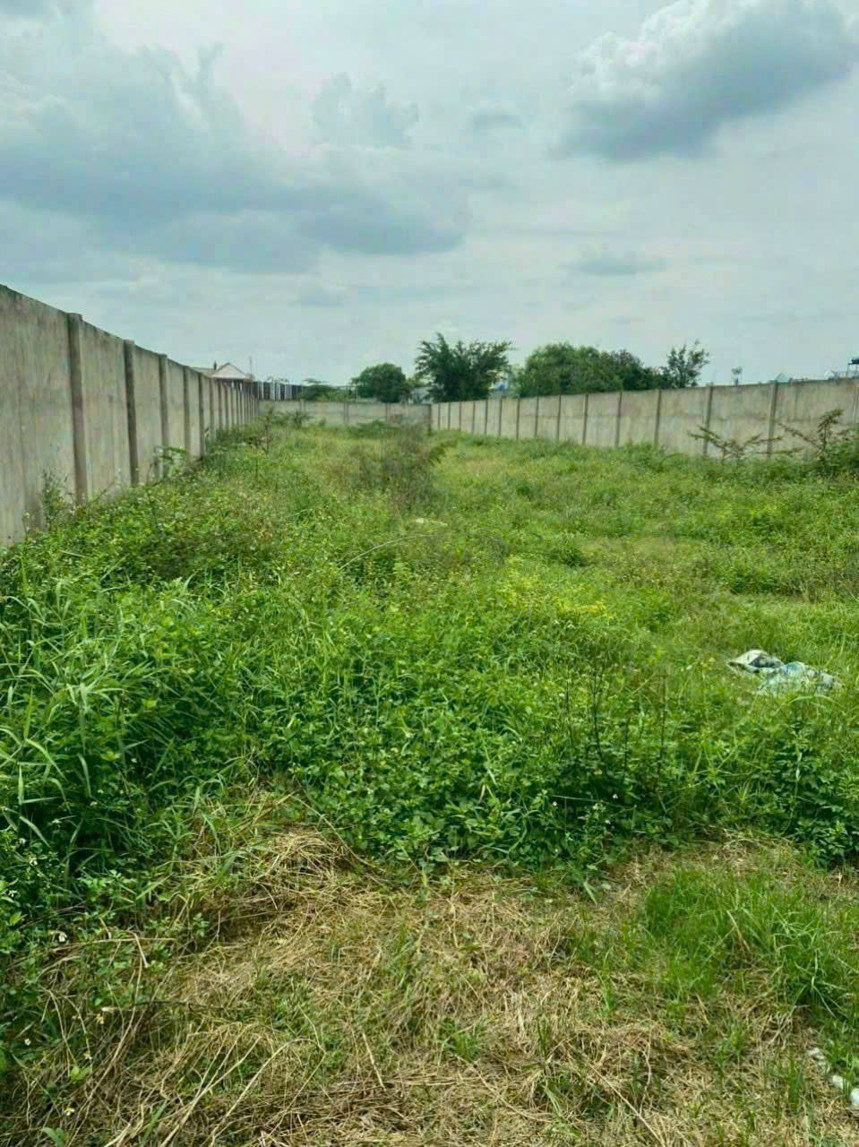 1439m2 đất ( có 1050m2 thổ cư) mặt tiền đường 6D, Vĩnh Lộc B giá 22 tỷ