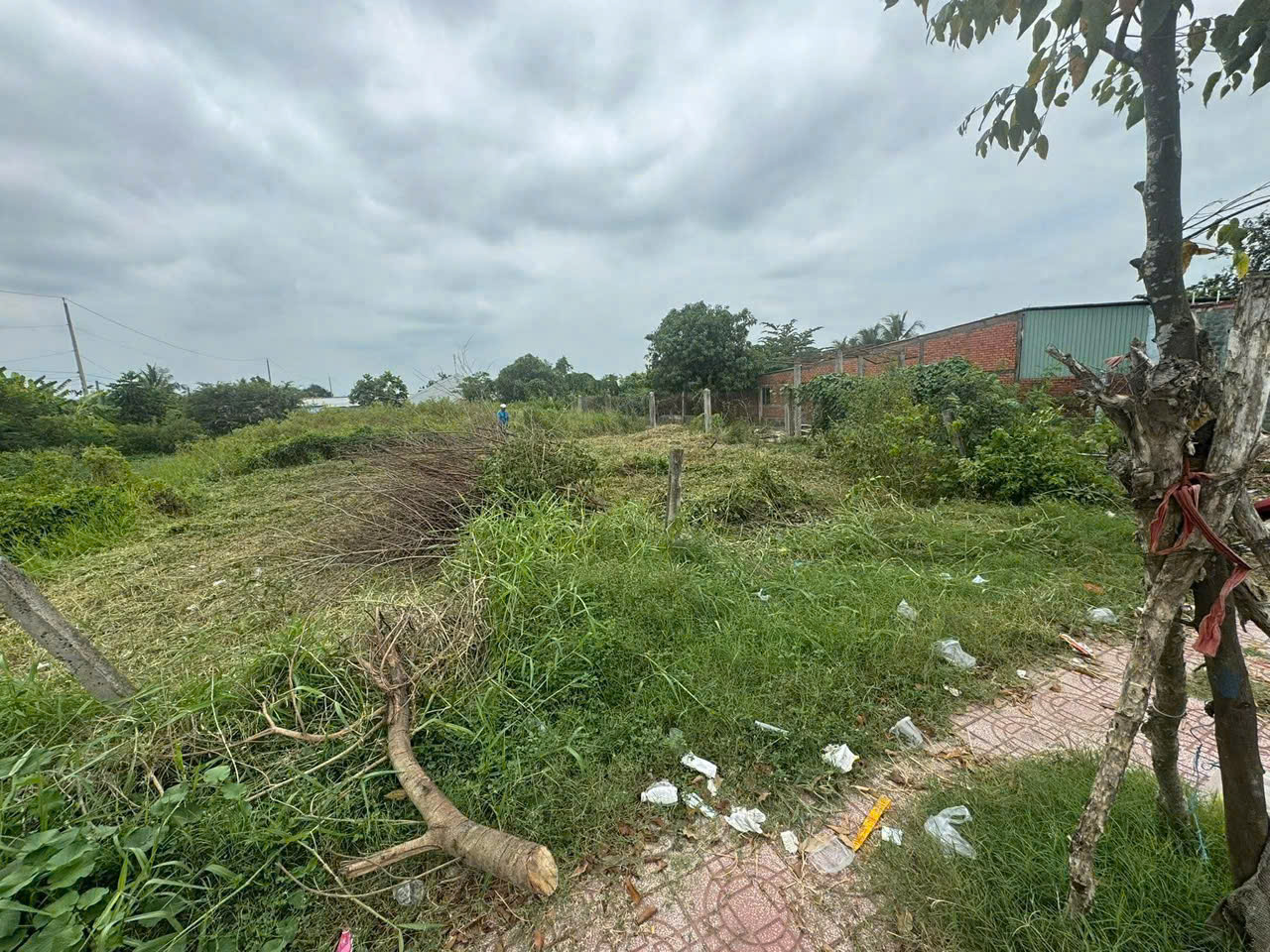 Bán đất mặt tiền Châu Thị Kim , P7 , Tp Tân An tdt 946,5m2 ( 300m2 thổ) giá 12,5 tỷ