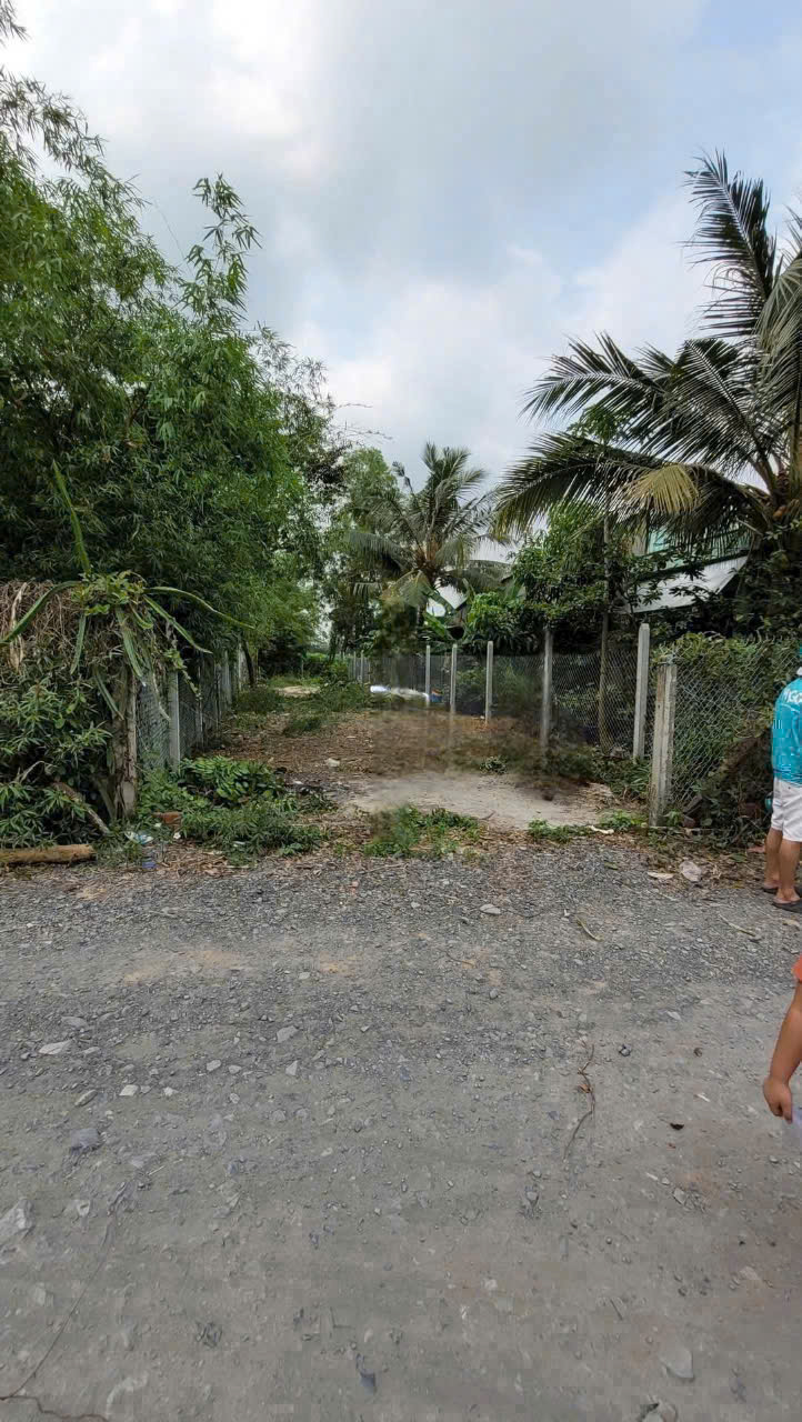 Bán đất thổ cư thị trấn Hậu Nghĩa , Đức Hòa cách tl 825 550m , dt 232,8m2 giá 1,55 tỷ