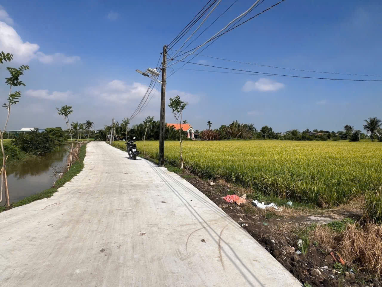 Bán nền thổ cư mt beton 4m Trần Thị Trâm , xã Tân Phước Tây , Tân Trụ dt 125m2 giá 525 triệu