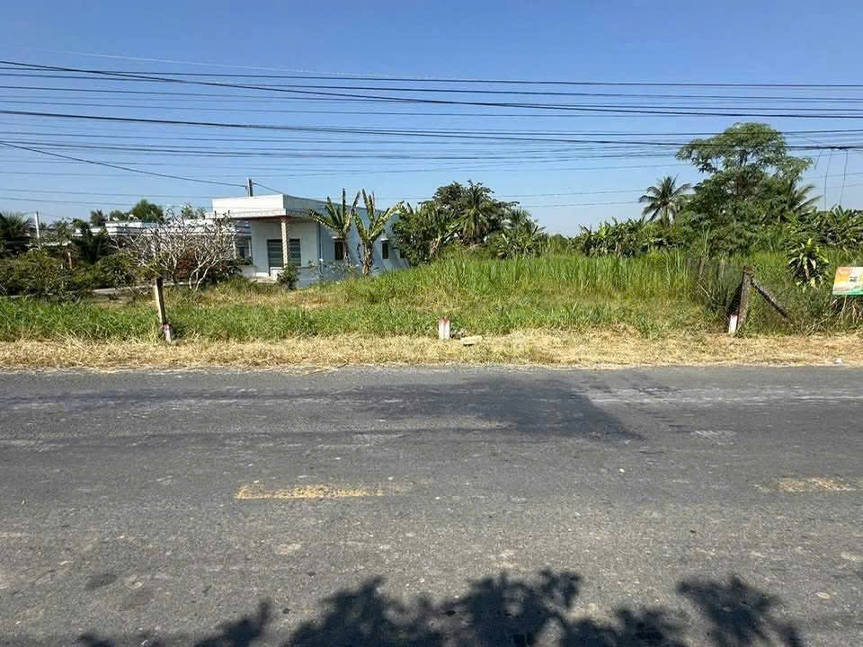 Bán 2 nền thổ cư mt đường Cao Thị Mai , xã Bình Trinh Đông , Tân Trụ ,giá 1,55 tỷ / nền