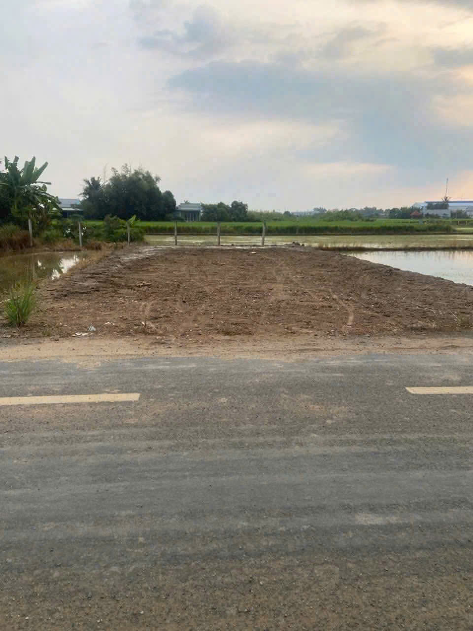 Bán đất mặt tiền đường Nguyễn Quang Đại, xã Mỹ Lệ, Cần Đước dt 111m2 giá 880 triệu