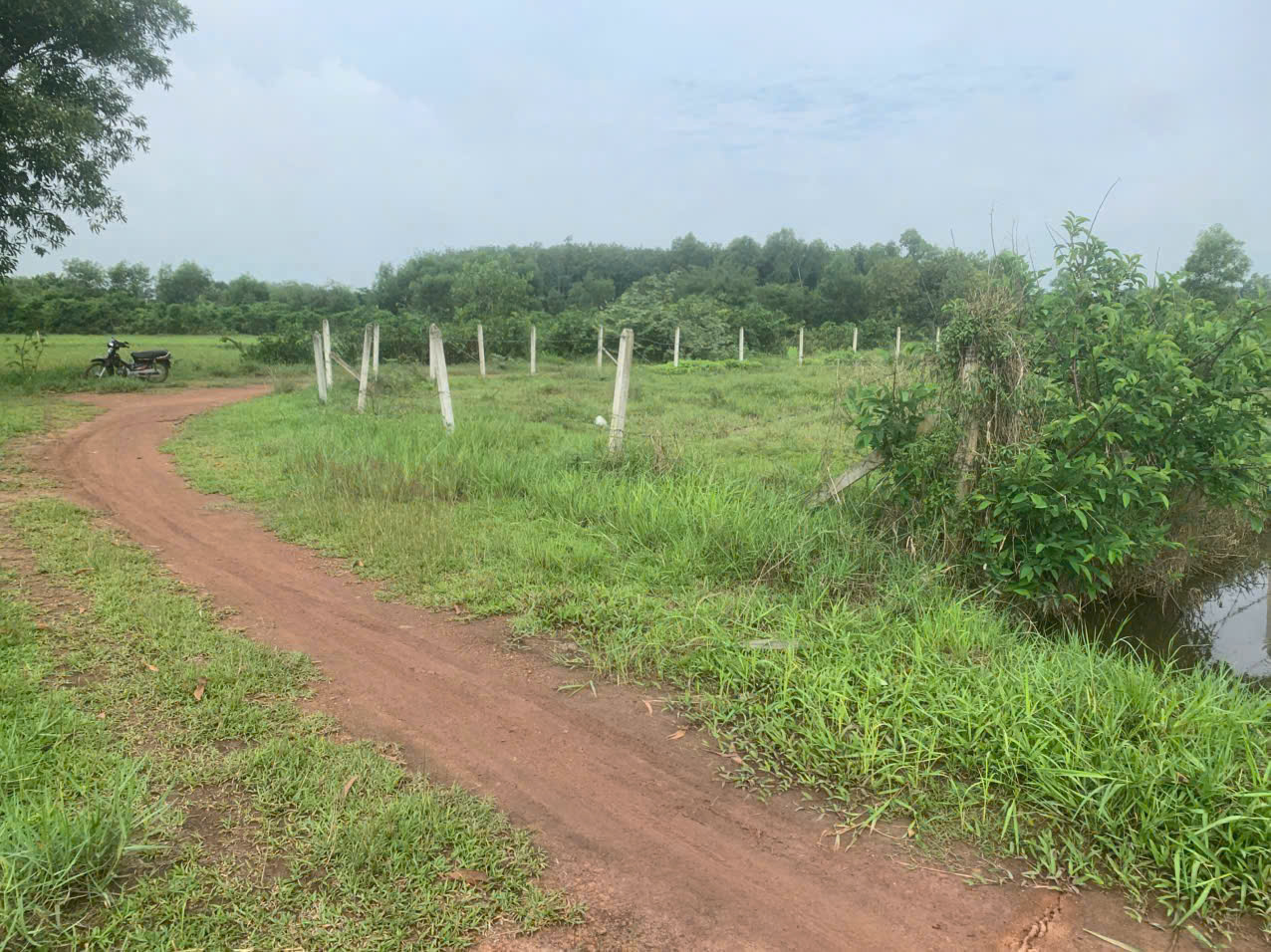 1800m2 đất lúa xã Nhuận Đức , Củ Chi giá 2,2 tỷ