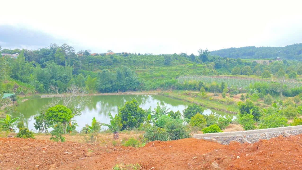 1 HÉC TA (10.000M2), MÀ GIÁ CHỈ 11 TỶ thuộc xã n'thôn hạ, đức trọng
