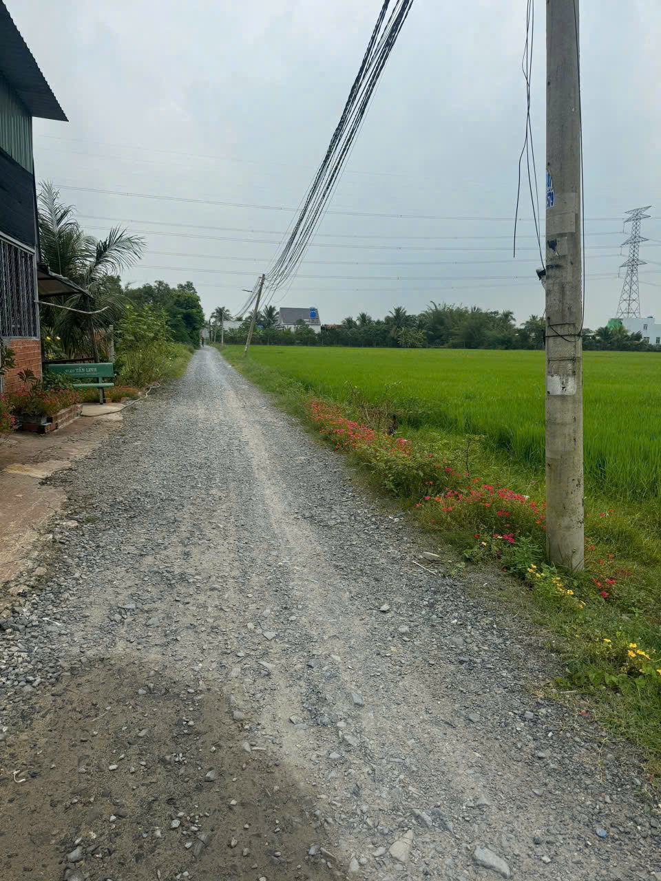 Bán đất thổ cư xã Hòa Khánh Đông , Đức Hòa dt 145m2 giá 880 triệu