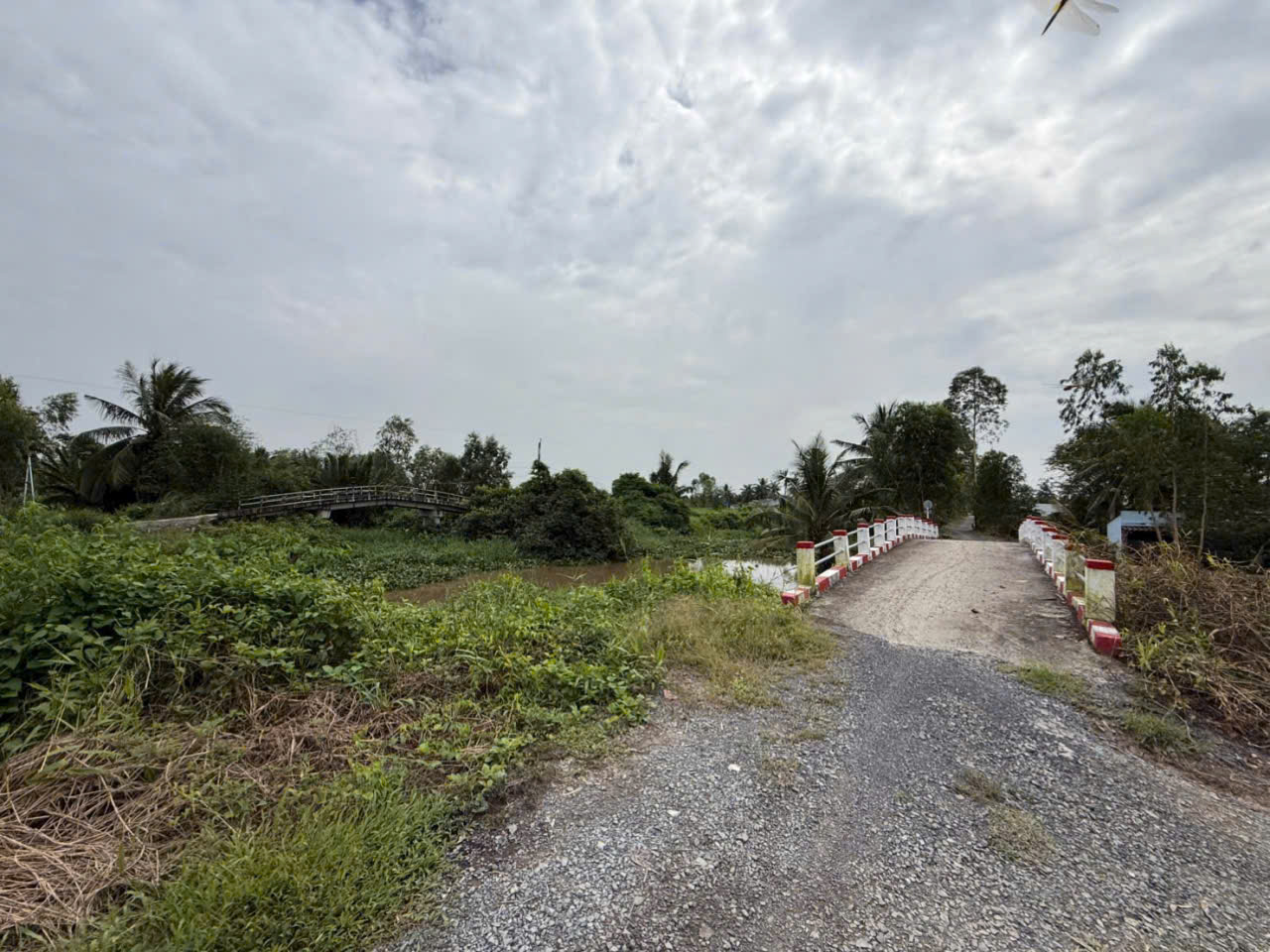 Bán đất vườn đường đá xanh xe 3 gác ,xã Tân Hòa, Bến lức dt 3000m2 giá 2,2 tỷ