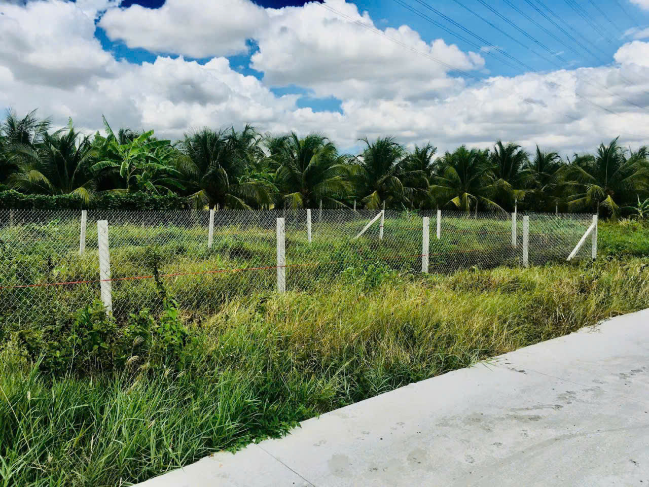 Bán đất thổ cư xã Nhựt Chánh , Bến Lức dt 224m2 , đường beton 3,5m oto giá 1,55 tỷ