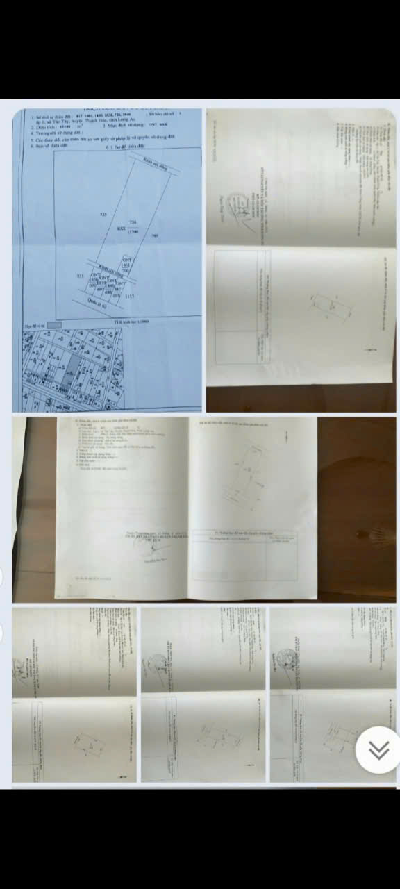 Bán đất mt quốc lộ 62 , huyện Thạnh Hóa tổng dt 5,8 ha (2,5 ha skc, 4000m2 thổ) giá 140 tỷ