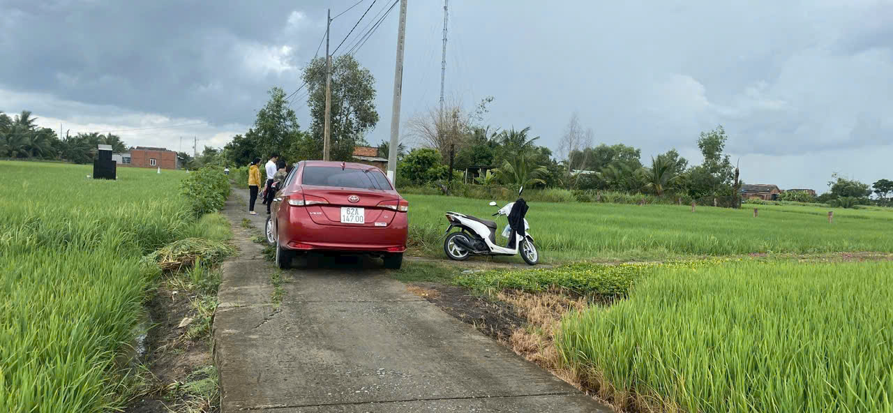 Bán 6 nền thổ cư đường beton 4m xã Tân Bình, Tân Trụ dt 150m2 giá 490 triệu 1 nền