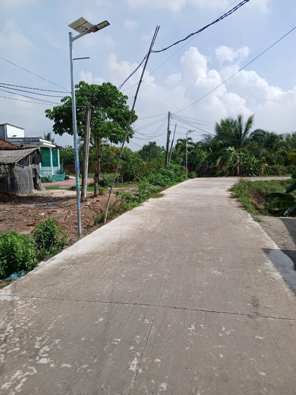 365m2 đất thổ cư đường beton 3m xã Đức Hòa Thượng, Đức Hòa giá 1,55 tỷ