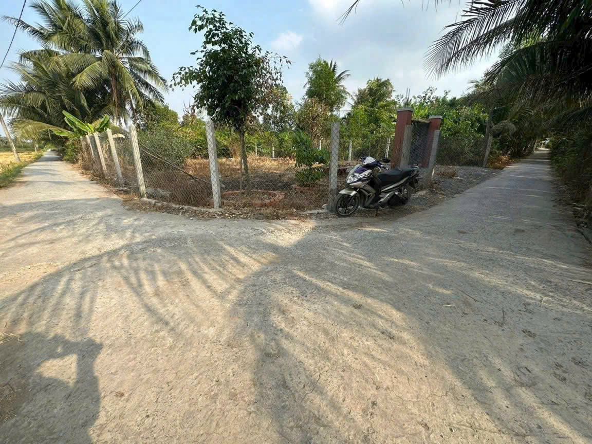 Bán đất 2 mặt tiền An Thạnh, Bến Lức dt 302m2 full thổ giá giảm còn 2,3 tỷ