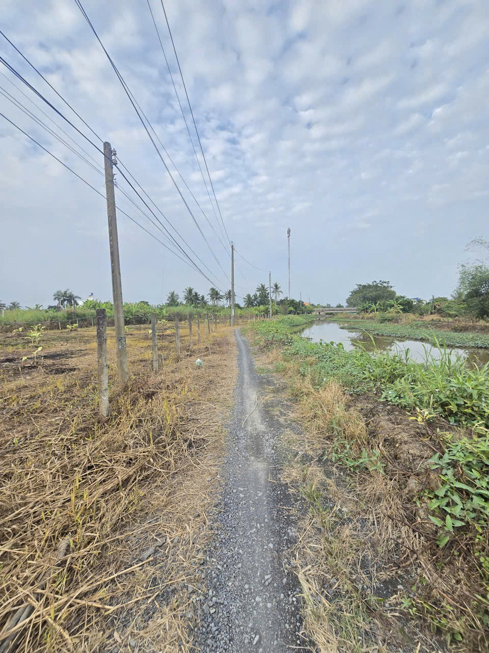 Bán đất 2 mặt tiền xã Tân Trạch , Cần Đước dt 1790m2 full thổ giá 17 tỷ