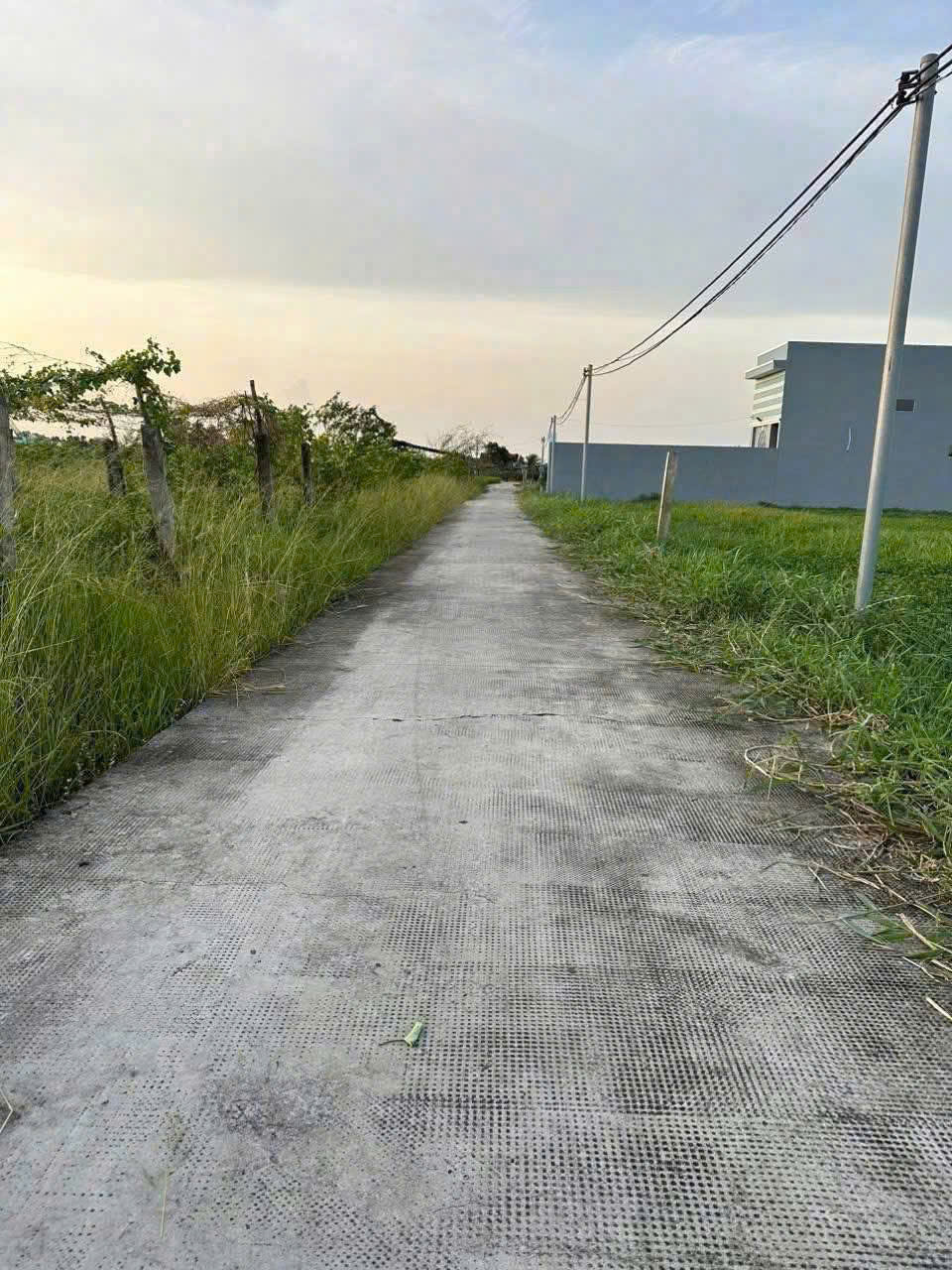 Bán đất xã Lạc Tấn , Tân Trụ tdt 1960m2 ( có 200m2 thổ) đường beton, có tường rào giá 2,2 tỷ