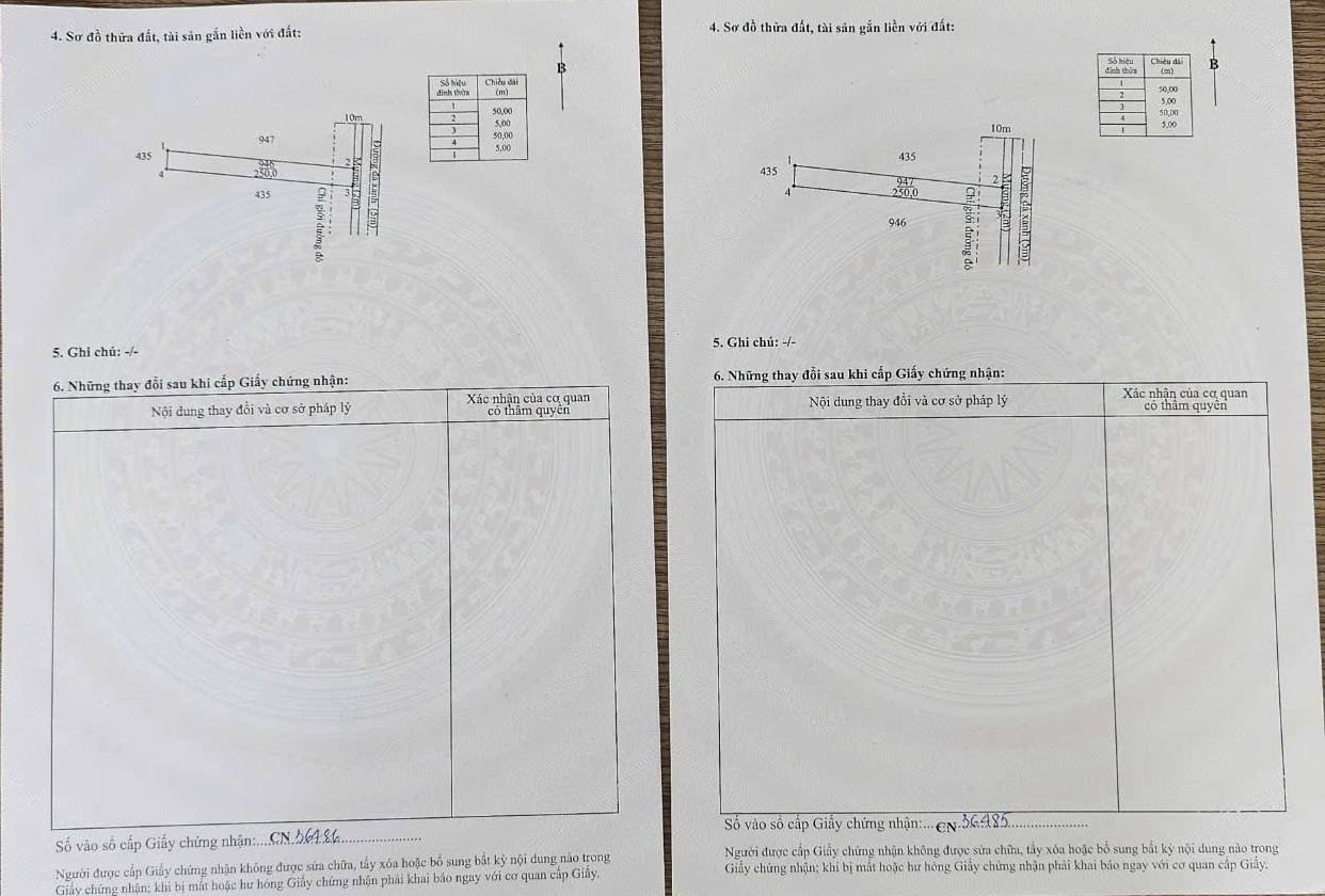 Bán đất thổ cư đường đá xanh xe tải xã Mỹ Hạnh Bắc, Đức Hòa dt 500m2 giá 2,2 tỷ