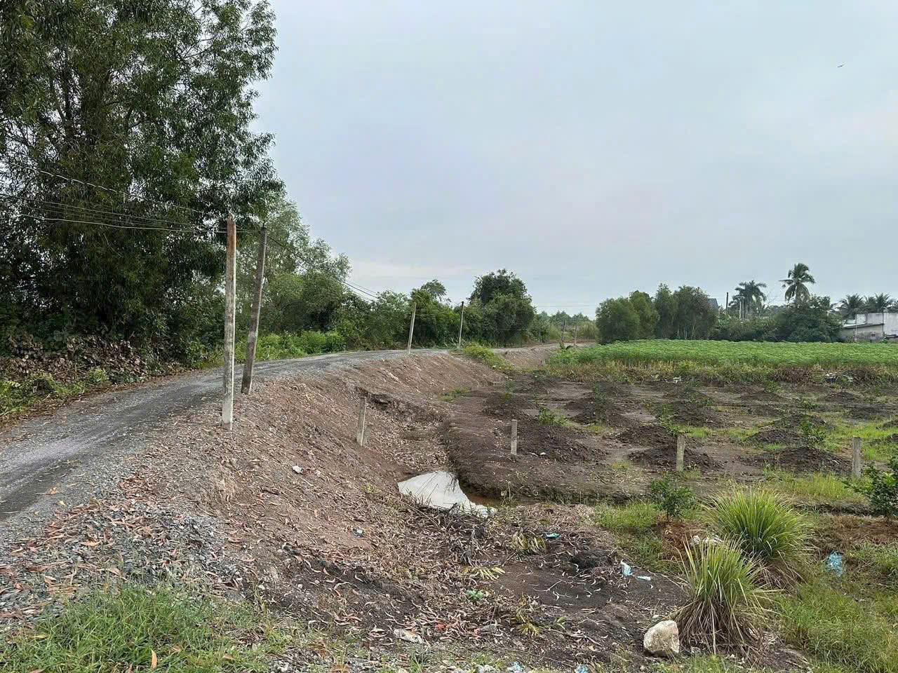 Bán đất vườn xã Bình Đức, Bến Lức dt 4.347m2 khu vực được chuyển thổ giá 7,3 tỷ