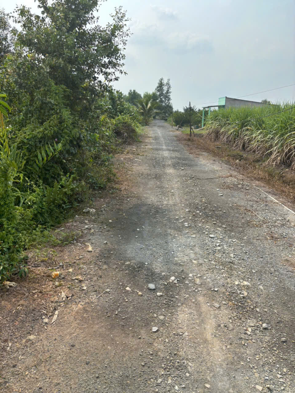 Bán đất vườn vuông vức đường xe oto đá xanh xã Lương Hòa dt 4800m2 giá 8,3 tỷ