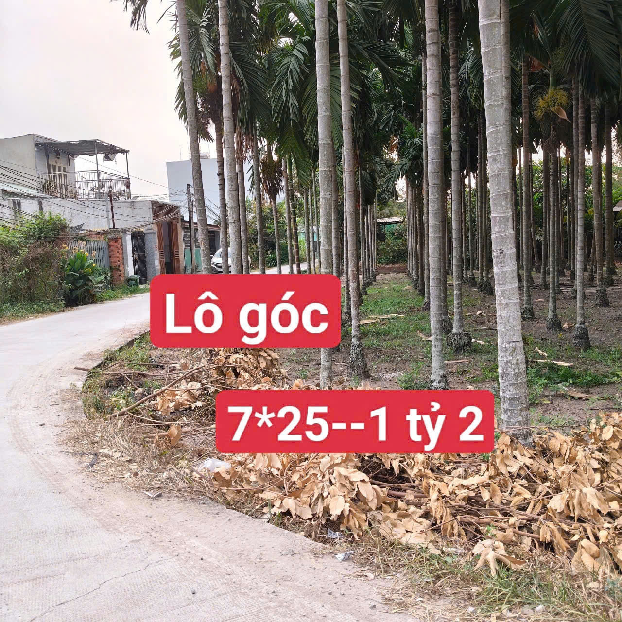 Bán 3 lô thổ cư liền kề đường beton oto xã Đức Lập Thượng, Đức Hòa giá 800tr - 1ty3 - 1,2 tỷ