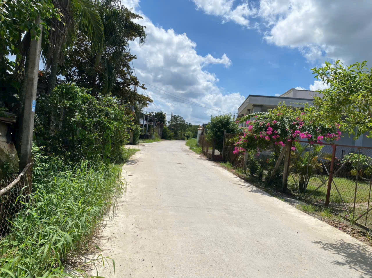 Bán đất thổ cư / Hồ Chí Minh , xã Hiệp Hòa, Đức Hòa dt 210m2 giá 970 triệu