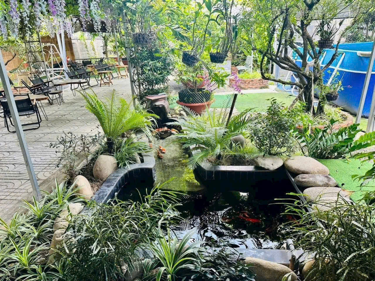 Nhà vườn đẹp trang bị hồ bơi, hồ cá xã Bình Đức , Bến Lức tdt 1850m2 ( 400m2 thổ cư) giá 8,5 tỷ